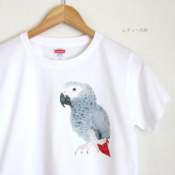 p-jet　ヨウム  Tシャツ　 / 鳥 インコ オウム 1枚目の画像