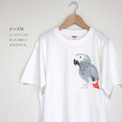 p-jet　ヨウム  Tシャツ　 / 鳥 インコ オウム 5枚目の画像