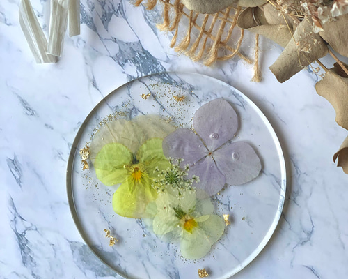 a4db362d74f0d60df977cc855b4f98