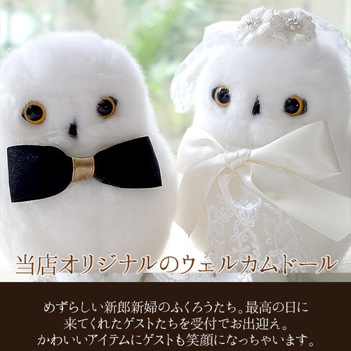 フクロウ ぬいぐるみ ふくろう 雑貨 キュート販売 CUTE forest