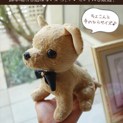 【リニューアル】ウェルカムドール 日本製 手作り チワワ 犬 完成品 2体セット ウェディング 結婚式 ぬいぐるみ 人形 6枚目の画像