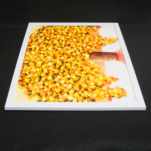 油絵 絵画 ミモザの花【四切】 油絵 絵画 ミモザの花【四切】（油絵 絵画 ミモザ【F4号