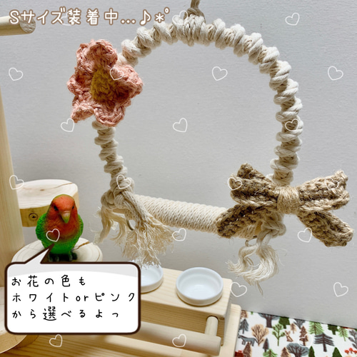 受注生産*小鳥の遊び場】天然木のバードアスレチック バードジム 受注生産*小鳥の遊び場】天然木のバードアスレチック バードジム