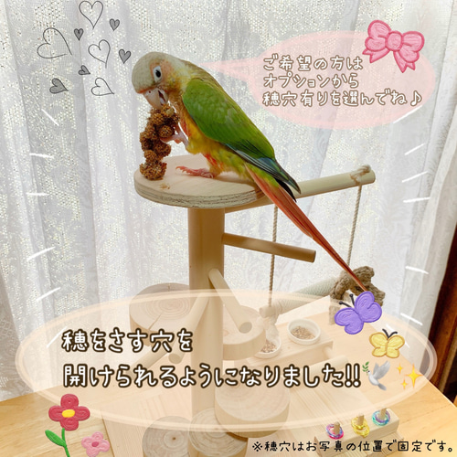 受注生産*小鳥の遊び場】天然木のバードアスレチック バードジム 受注生産*小鳥の遊び場】天然木のバードアスレチック バードジム