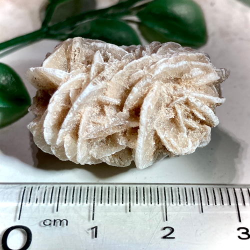 双子石【知性の石】砂漠の薔薇 デザートローズ セレナイト その他置物