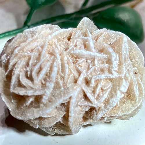 特大✨　知性の石　砂漠の薔薇　デザートローズ　セレナイト　ラフストーン　原石 特大✨ 知性の石 砂漠の薔薇 デザートローズ セレナイト ラフストーン