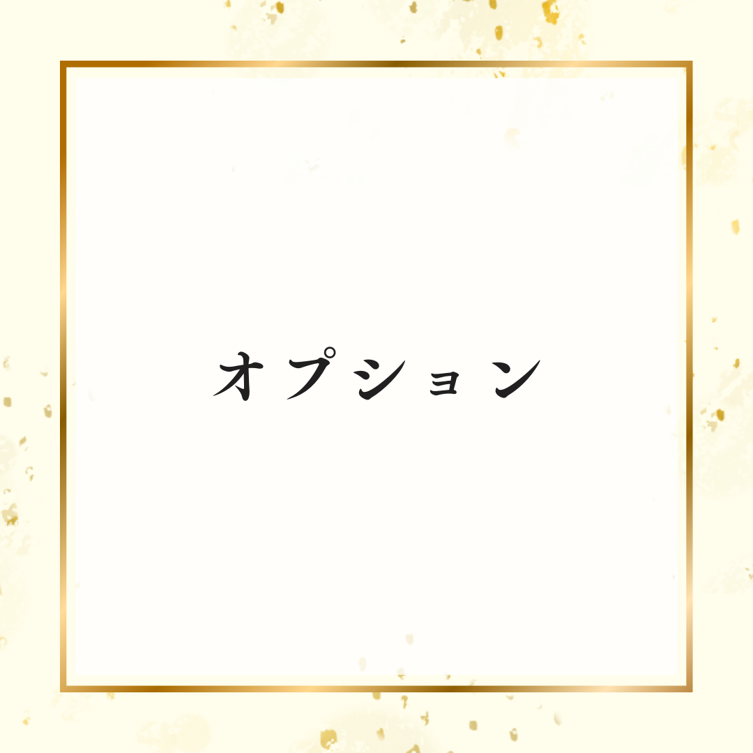 オプション閲覧ページ
