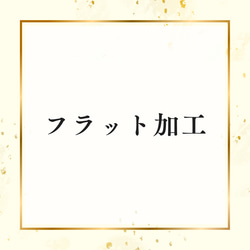 オプション閲覧ページ 4枚目の画像