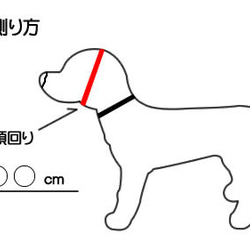  第6張的照片