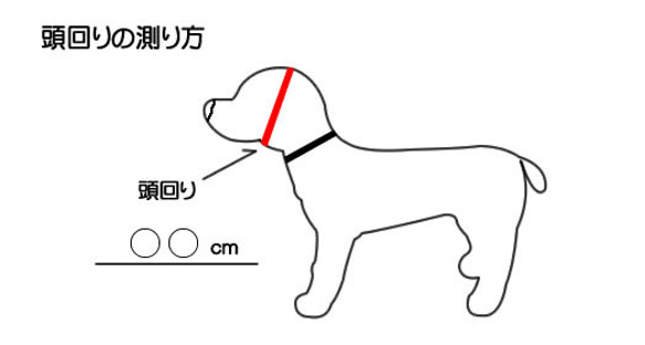  第6張的照片