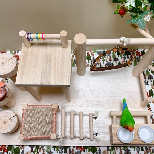 小鳥の遊び場】バードアスレチック バードジム 止まり木 ②