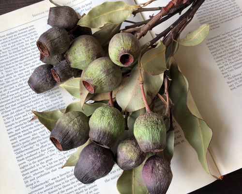 12a80d8ab944f1c54caf869e093649