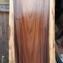 コンゴカリン 一枚板 ダイニング テーブル 一枚板 最高級