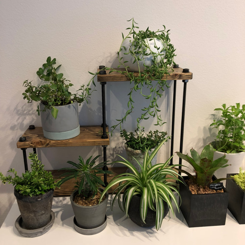 新作☆ボルトラック☆階段型☆木目強調☆窓枠インテリア西海岸 棚