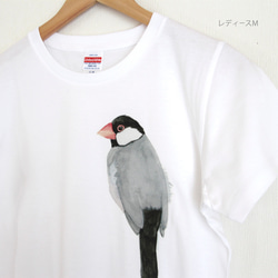 p-jet　文鳥　Tシャツ　/  鳥　小鳥　桜文鳥 3枚目の画像