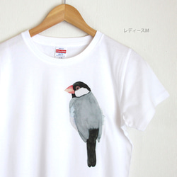 p-jet　文鳥　Tシャツ　/  鳥　小鳥　桜文鳥 1枚目の画像