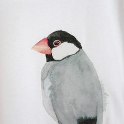 p-jet　文鳥　Tシャツ　/  鳥　小鳥　桜文鳥 4枚目の画像