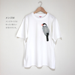 p-jet　文鳥　Tシャツ　/  鳥　小鳥　桜文鳥 6枚目の画像