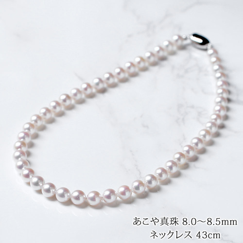 【本真珠】真珠 ネックレス パール あこや真珠 シルバー金具