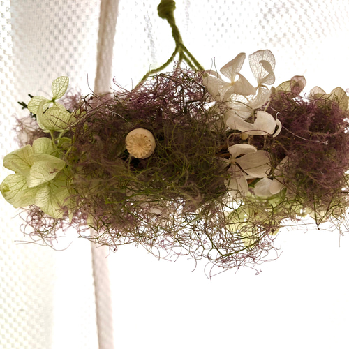 スモークツリー フライングリース フライングボール きみどり スモーク