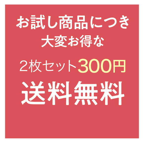 簡易ふくさ【お試し2枚セット】 ふところ袋 / 和装 袱紗 2枚目の画像