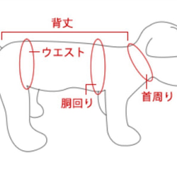 夏のひんやりタンク＊3S〜L＊犬服ハンドメイド＊nunoiro 5枚目の画像