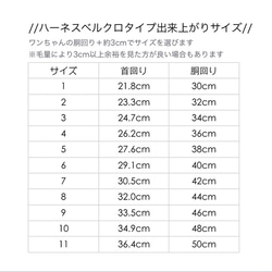 Sale 受注製作　おめかしハーネス　ベルクロタイプ 5枚目の画像