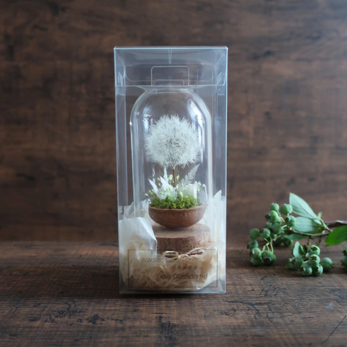 Wardiancase ウォードの箱 】 －タンポポ－ Little Glassdome ドライ