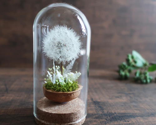 b36500f8abec1bc468c2b8068d82a0