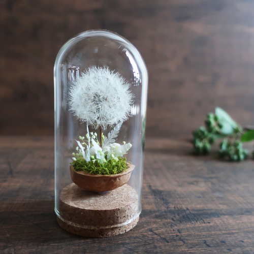 Wardiancase ウォードの箱 】 －タンポポ－ Little Glassdome ドライ