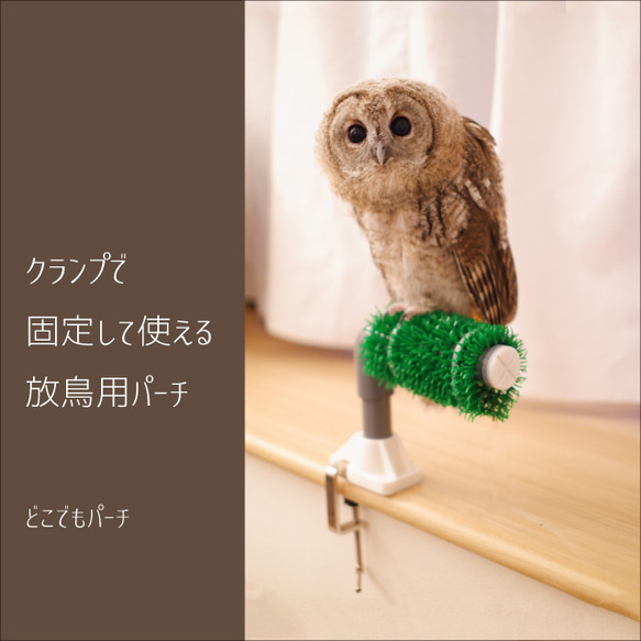 中型猛禽パーチボウパーチ（卓上用）　ケヤキ、ライトオーク色　　フクロウ、ハヤブサ 2025年最新】猛禽類パーチの人気アイテム - メルカリ