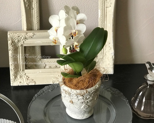 4630cbf0d0199f2413daf29c4125c4