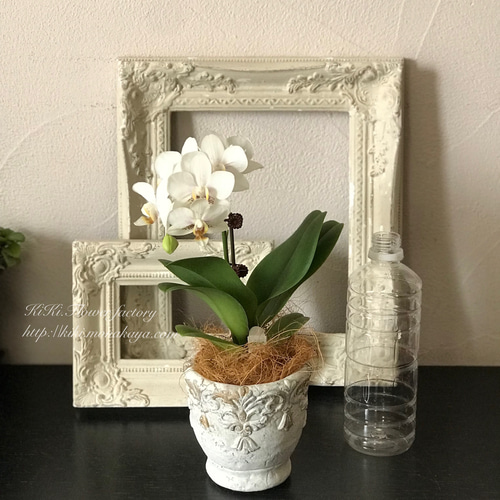 限定特価！！テーブル胡蝶蘭アンティーク風鉢植え（白） 一輪挿し