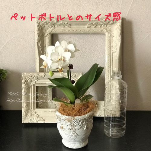 ⭐️アンティーク⭐️脚陶器製長方形鉢花瓶 ヴィンテージ生け花アレンジメント 限定特価！！テーブル胡蝶蘭アンティーク風鉢植え（白） 一輪挿し