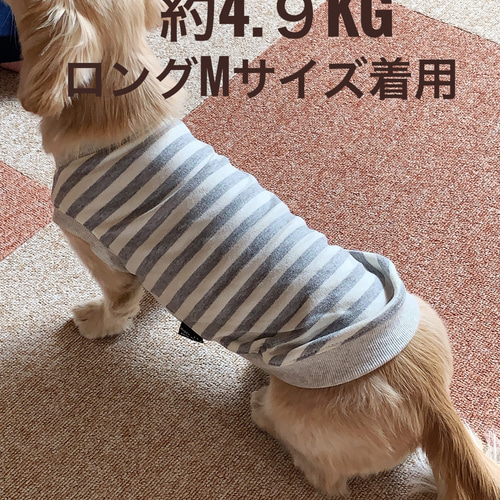 【m】犬服タンクトップ 61TPEd3tFFL._UF350,350_QL50_.jpg