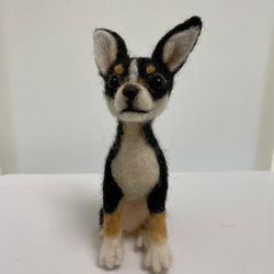 フラットコーテッドレトリバー 黒 羊毛フェルト Wool Whisper 通販