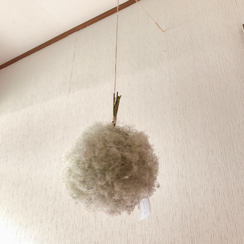 スモークツリー フライングボール M ドライフラワー ② ドライ