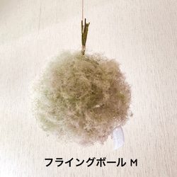 スモークツリー フライングボール M ドライフラワー ② ドライフラワー