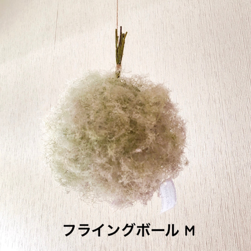 スモークツリー　フライングリース　ボールリース　きみどり スモークツリー ボール フライングリース きみどり - メルカリ