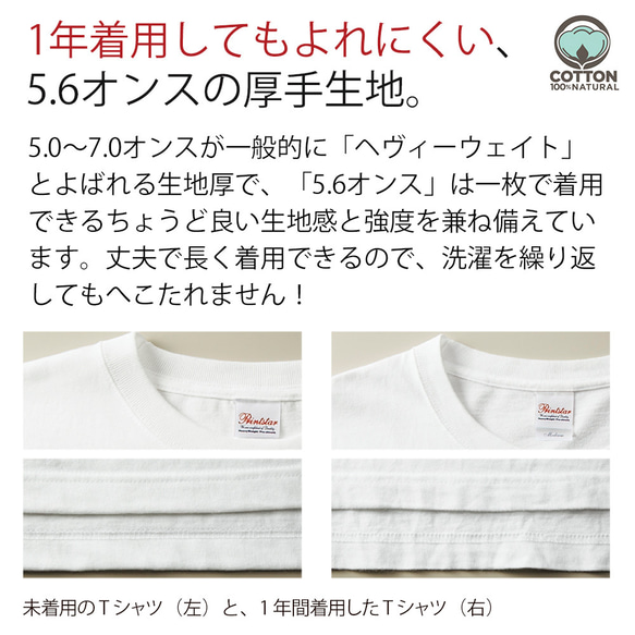 送料無料☆【Tシャツ3箇所プリント】オーガニックベジタブル 5.6oz Cotton:100% 4枚目の画像