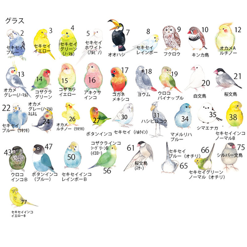 うめりんご♥️小鳥ちゃん♥️ゆらゆらハウス♥️インコ、文鳥etc 710jLbDON1L._AC_SY200_QL15_.jpg