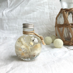 専用＊ Jumbo bottleドライフラワーボトル　 パンパスツリー 専用＊ Jumbo bottleドライフラワーボトル パンパスツリー 専用