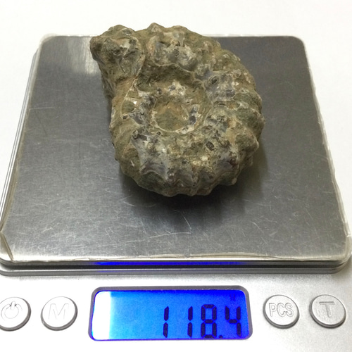 一点物☆太古の海の記憶 天然石(化石) アンモナイト 原石セット