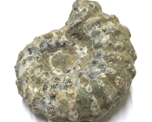 a09923c65fb0439a4cff0e6affc23e