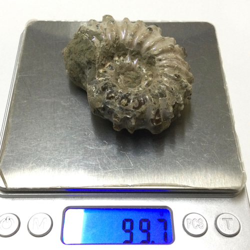 【未使用品】 天然石(化石) 一点物☆太古の海の記憶 アンモナイト ③ 原石 コレクション