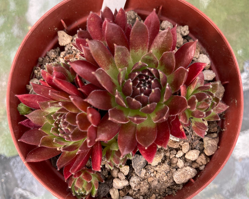 74b4be05f9783f6f02e7ebe0e12d2b