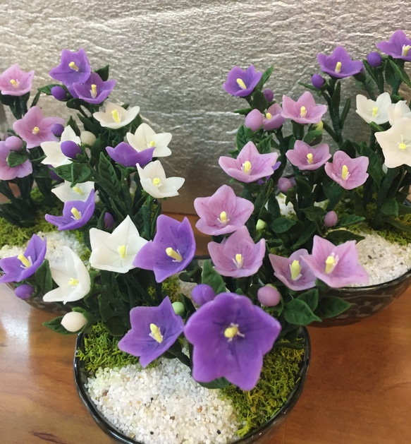 樹脂粘土製 ミニチュア盆栽〈桔梗〉 盆栽 AB-Hachi Garden 通販