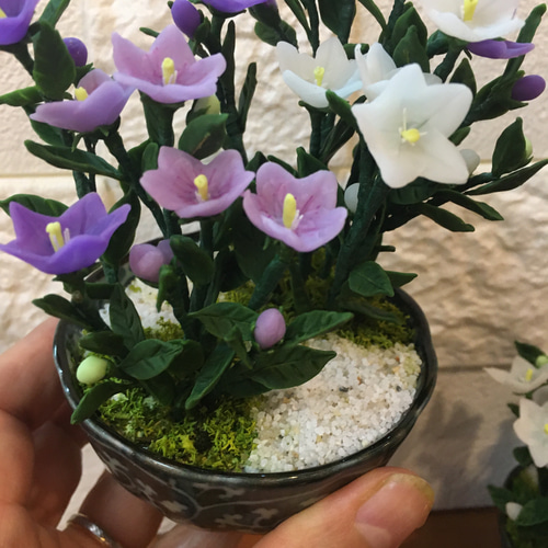 樹脂粘土製 ミニチュア盆栽〈桔梗〉 盆栽 AB-Hachi Garden 通販