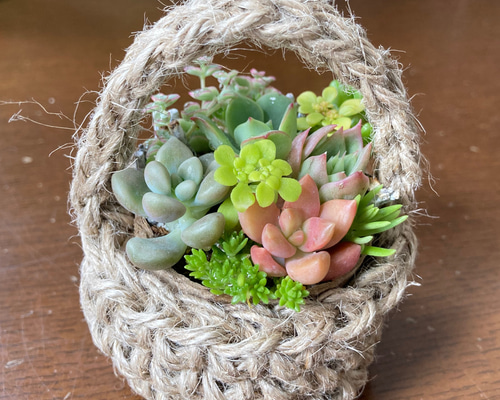 ef2cfa8f2c8dce4fbf4f8a12a3a3c7