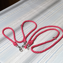 パラコードスリップリード 装着一瞬！ 首輪一体型 トレーニングリード